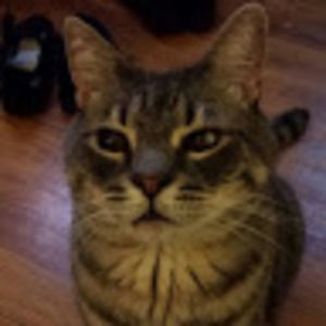 Meet your Posher, Hilda